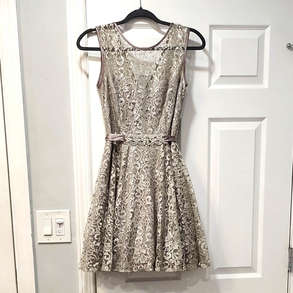 Elegant Silver Lace Dress